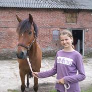 Anden særlig race Chamør