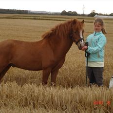 Anden særlig race Bounty