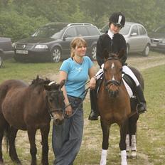 Anden særlig race Julle