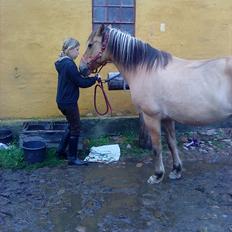 Anden særlig race Surprise