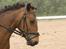 DSP Jasmin - En smuk pony :o
Foto: Line Skou