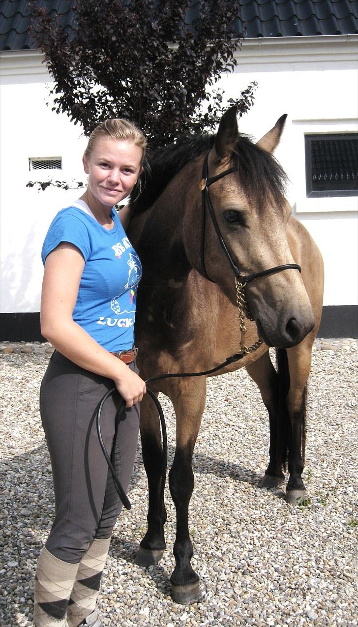 Anden særlig race Assenhøj's Bellezza - Da hun skulle være model ;) billede 11