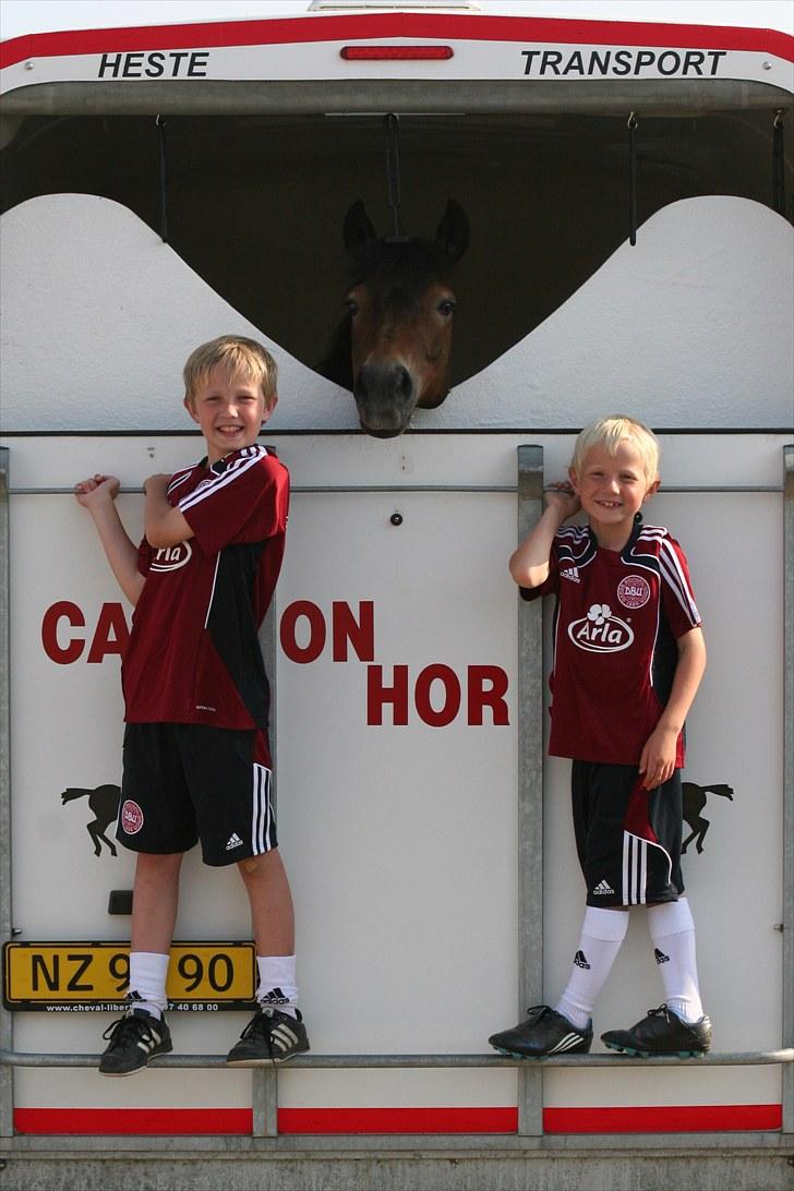 New Forest Elmerhøjs Bastian - Mine drenge - Alexander, Elmer og Victor. billede 20