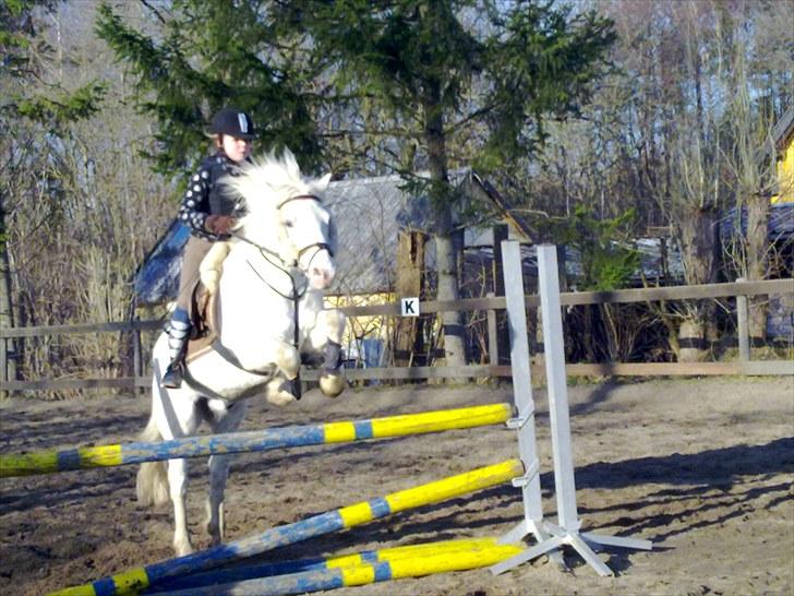 Connemara walentin billede 17