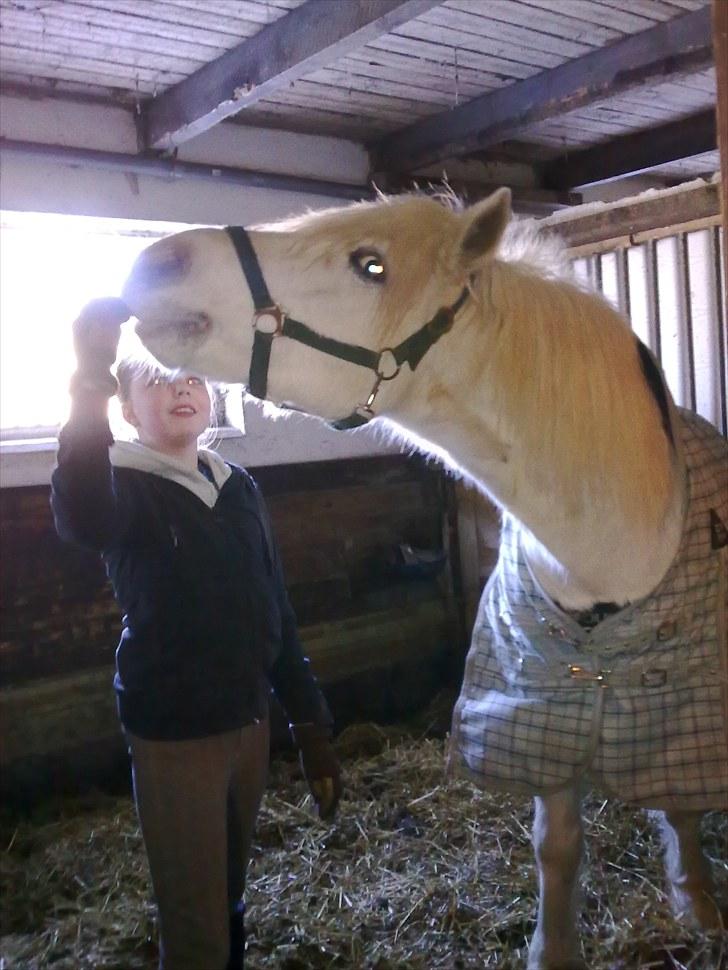 Connemara walentin billede 18