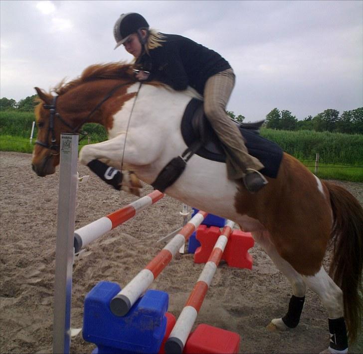 Anden særlig race Asi - Ihh hvor jeg elsker dig min lille skat :* <3! billede 7