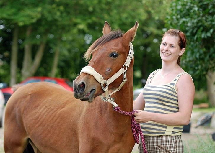 Anden særlig race Magic Fever - Taget af Chaos.. billede 12