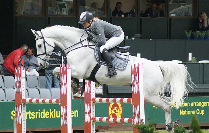 Holstener Gonzo - CSIO Parken 2009, 130 cm -  Foto: LB  Photo billede 4