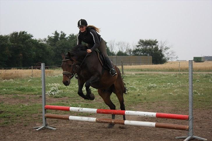 Anden særlig race Gardue (Gustav) R.I.P elsket og savnet! billede 8