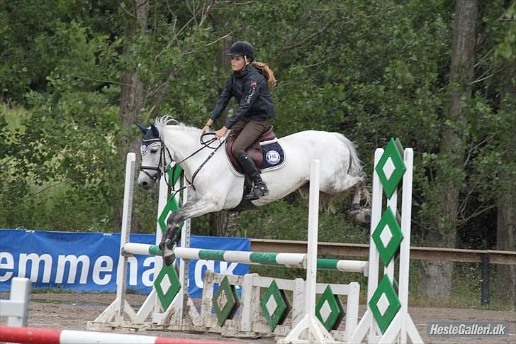 New Forest Rødtjørns Bellis *tidligere hest* - BAR - bellis og jeg. foto Josephine Petersen (: billede 9