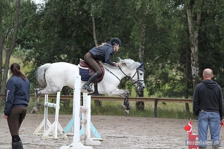 New Forest Rødtjørns Bellis *tidligere hest* - BAR - bellis og jeg. foto Josephine Petersen (: billede 10