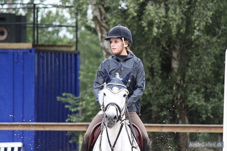 New Forest Rødtjørns Bellis *tidligere hest* - BAR - bellis og jeg. foto Josephine Petersen (: billede 13