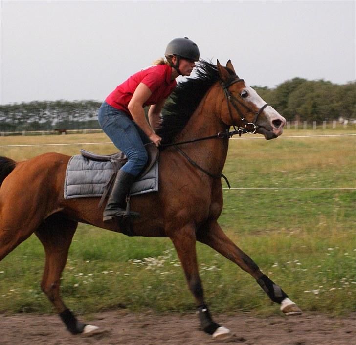 Anden særlig race Monique - louisa og monse.  billede 9