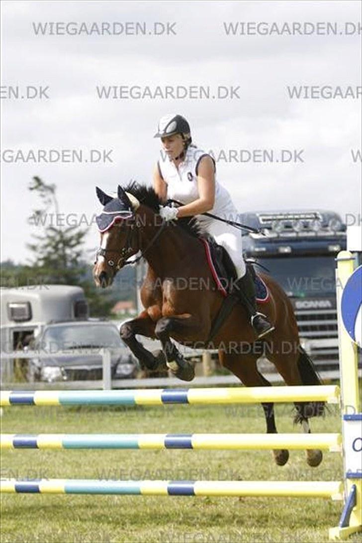 Dansk Varmblod Cavan<3 SOLGT  - Jysk rideuge 10 billede 18