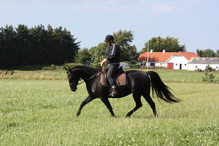 Oldenborg mitzi af østmark - August 2010 - Mitzie og jeg ude og strække benene *S* billede 16