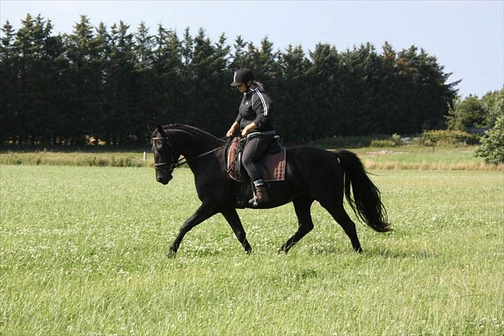 Oldenborg mitzi af østmark - August 2010 billede 17