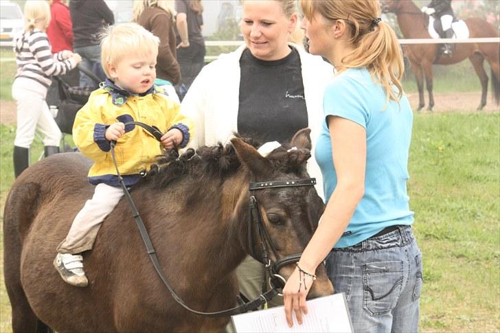 Anden særlig race Julle - Julle med Mikkel på ryggen ;)
Foto: Line Skou billede 4