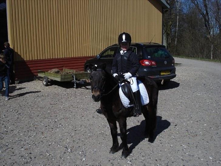 Anden særlig race Julle - Julle og Julie til stævne i MORK :) billede 5