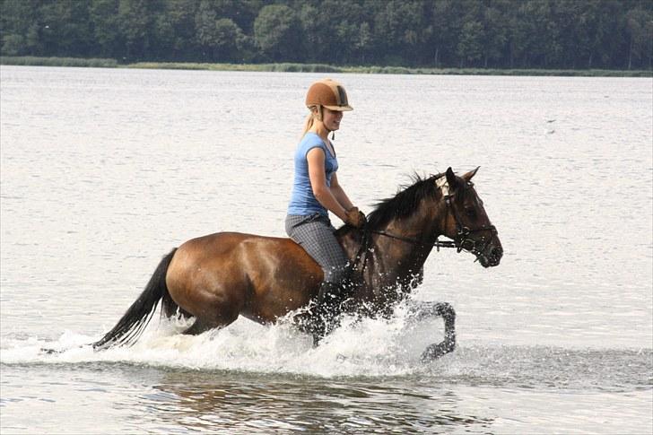 DSP Jasmin - Mia rider hende, nede ved fjorden! :)
Foto: Line Skou billede 3