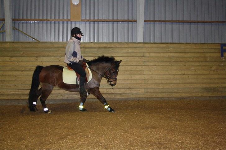 DSP Jasmin - Hendes dejlige galop.
Foto: Line Skou billede 5