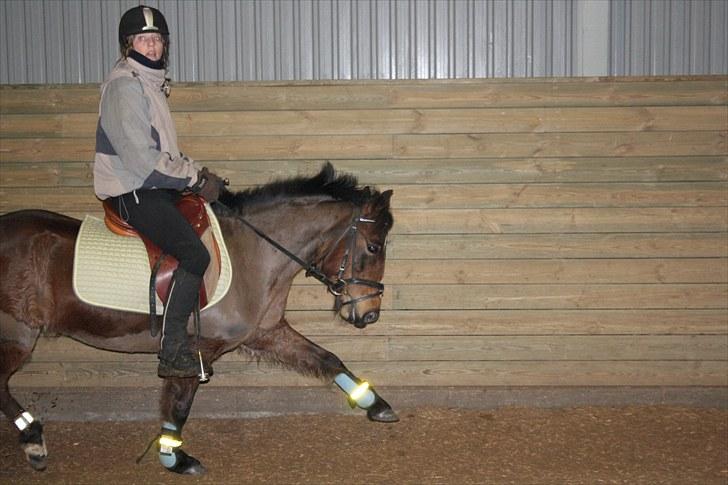 DSP Jasmin - Hun kan lave nogle gode øgninger (:
Foto: Line Skou billede 6