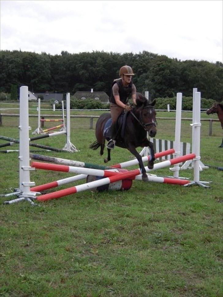 DSP Jasmin - Her springer Mia på Jasmin! :) billede 7