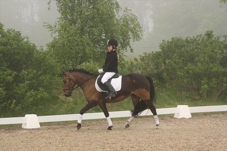 DSP Jasmin - Julie og Jasmin i en ld2 - De var rigtig gode og tog førstepladsen! :o
Foto: Line Skou billede 9