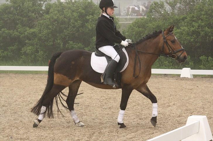 DSP Jasmin - PÅ vej ind på banen..
Foto: Line Skou billede 10