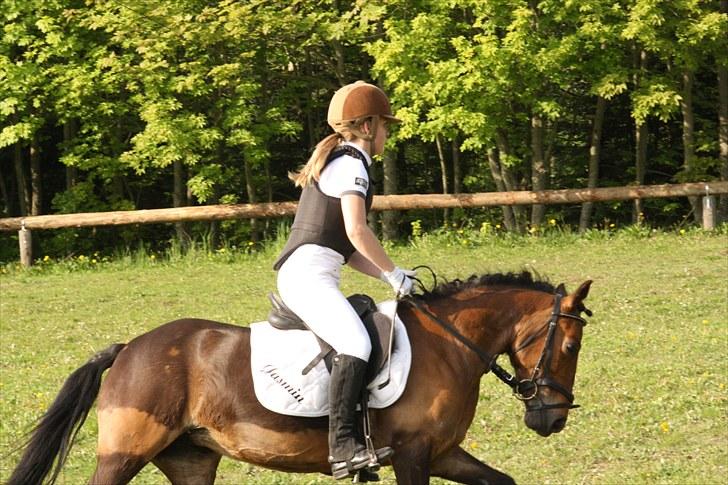 DSP Jasmin - Mia er her til springstævne på Jasmin :) billede 12