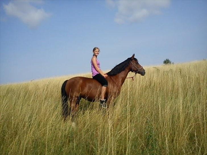 DSP Firhøjs Bjanca *mit'alt* - den dag jeg fik dig, var den dag vi reddede hinanden <3 billede 18