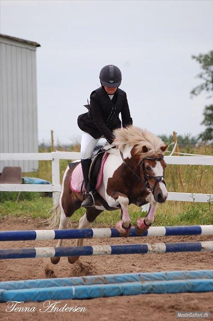 Anden særlig race Dolly (: Red!  - elsker dig<3 billede 12