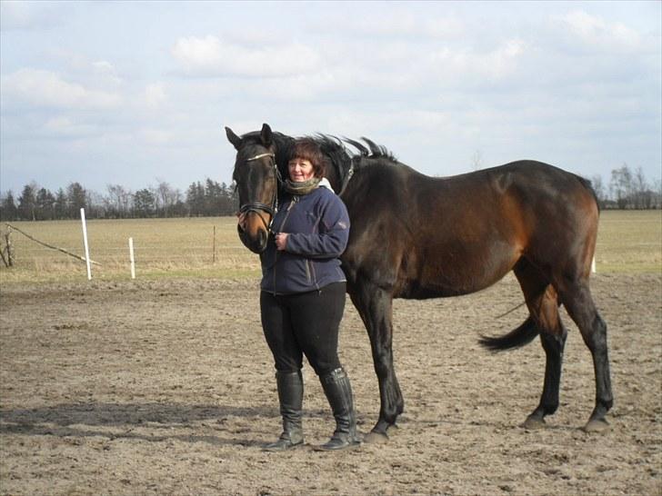 Anden særlig race Lauderdale - 22/3 2010 billede 9