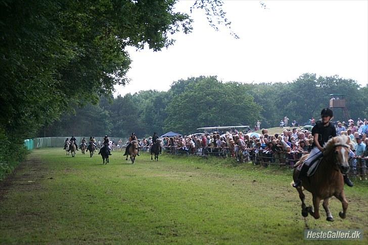 Haflinger Cirkeline<3 Solgt ): - Aså væddeløb 2. pl. :) billede 12