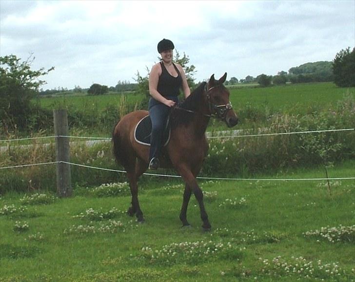 Anden særlig race Star billede 12