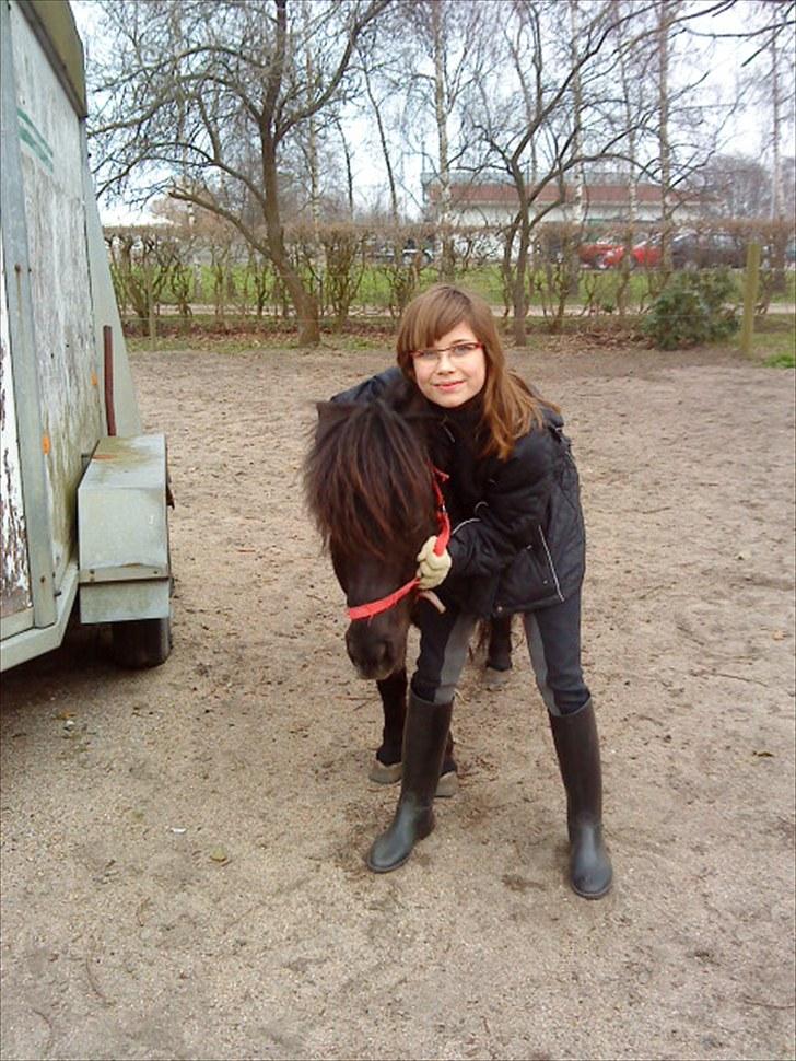 Shetlænder Olga R.I.P In my heart!:( - Olga og jeg om efteråret<3 billede 13