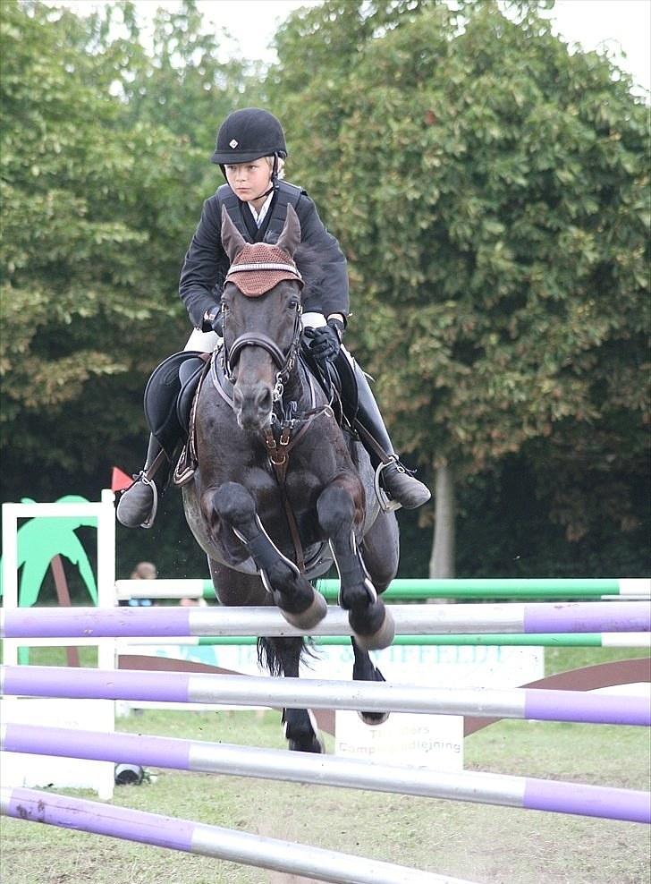 Westfaler Pour Plasir billede 17