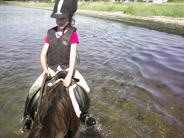 Anden særlig race Julle - Julie og Julle ved Mariager fjord billede 9