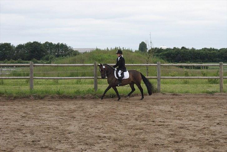 Anden særlig race Jamila  billede 18