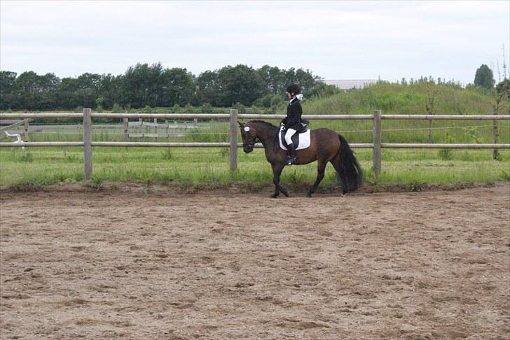 Anden særlig race Jamila  billede 19