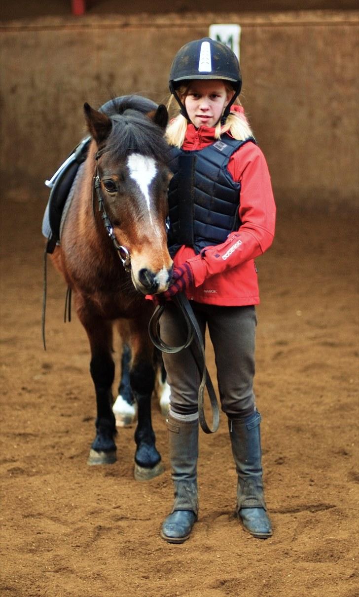 Anden særlig race Raptus*Passer* - 3) Og igen efter ridetimen:) billede 3