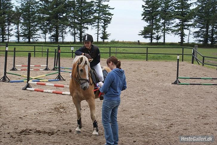 Haflinger Stabejs Dybdal<33 - Tak fordi i kiggede med;-) og grunden til der står alle mulig ting under billederne er for de jeg er kæmpe Justin bieber fan;-) billede 20