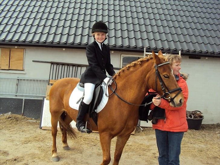 Anden særlig race Cassa billede 14