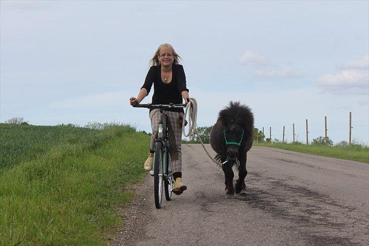 Miniature Blobber - ude og cykle med blobber på vej for første gang, det var som om han aldrig havde lavet andet! :D<3 Foto: Johanne billede 2
