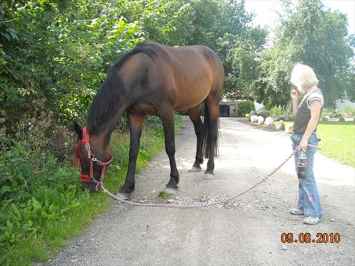 Traver Jettes Pride - På gåtur med Camilla.. billede 9