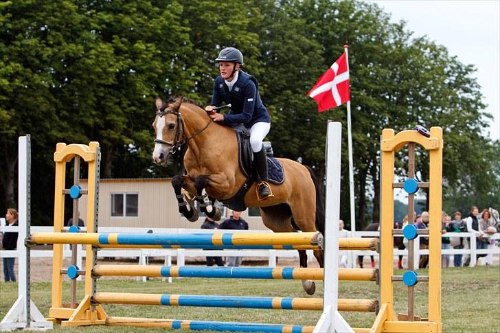 Welsh Pony (sec B) Blanka Graadahl. billede 9