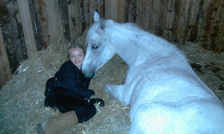 Anden særlig race Chapplin <3 Solgt :-( - så skal du vågne chapper <3 billede 3