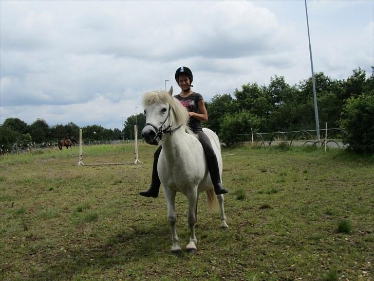Islænder Tulle <3<3 - Et vellykket forsød på en parade:) billede 6