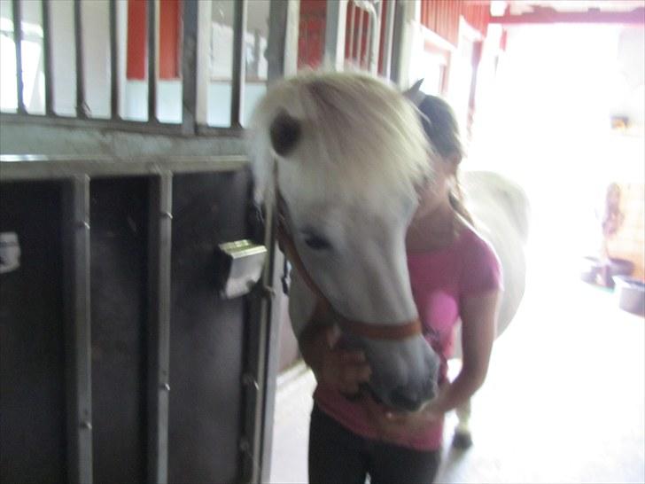 Islænder Tulle <3<3 - Så slutter vi lige med en af de mange 1000 kram jeg får vær dag:) Love you<3 Lig gerne en kommentar og bedømmelse:D billede 10