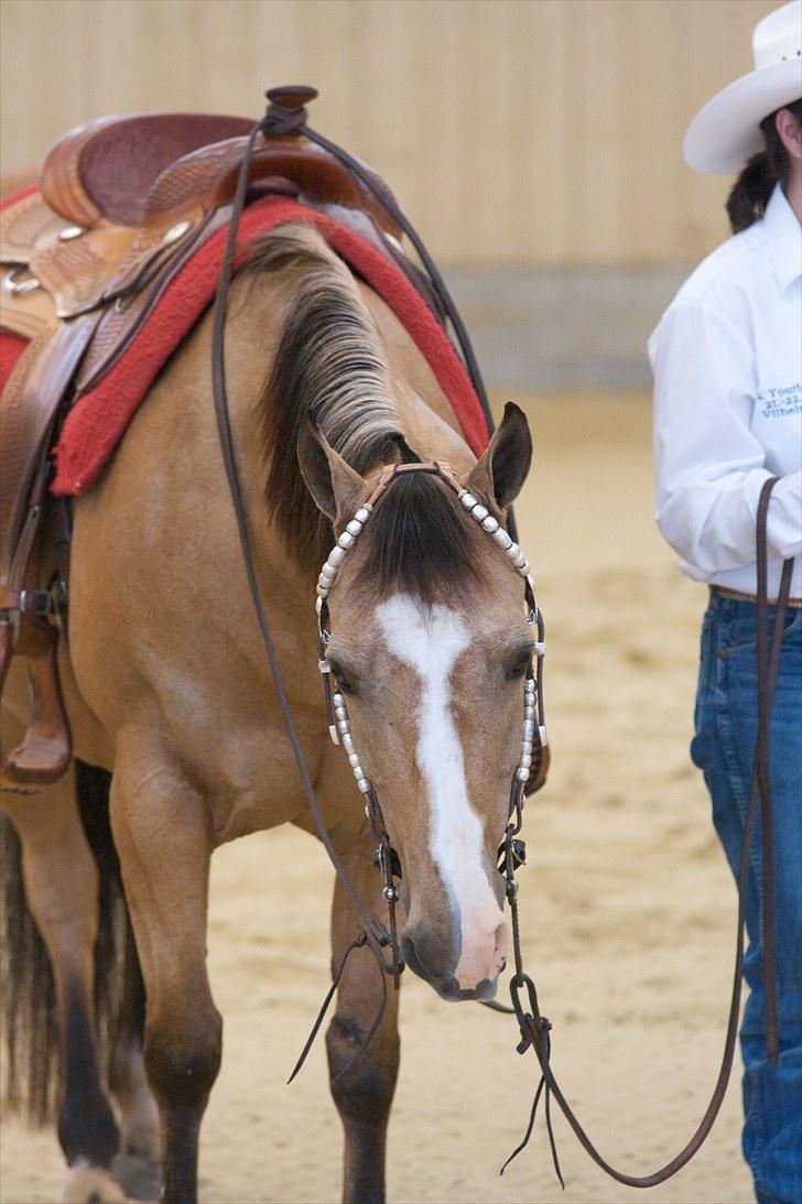 Quarter JR Shu bobking - ved præmieoverrækkelse. Ride in 2010 billede 16