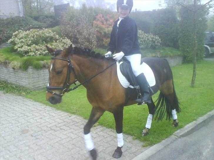 DSP Jasmin billede 15